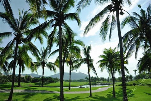 红上玉回转寿司