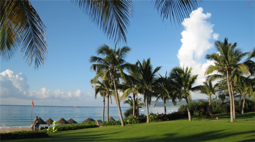 黄记品一味生煎