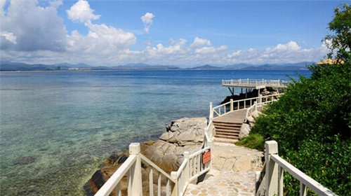 伴鱼伴蛙炭烤鱼蛙