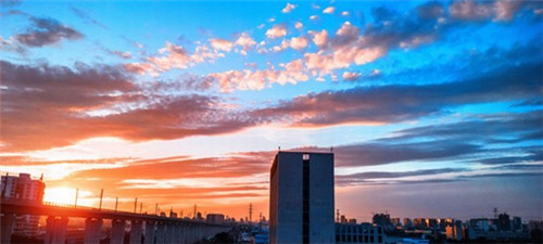 高压软管品牌排名