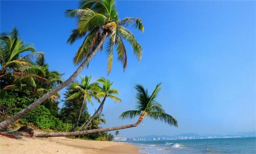 足浴桶10大品牌，足浴桶品牌哪个值得买