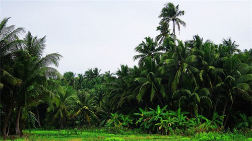寿司店创业好项目文案，寿司店创业项目计划书