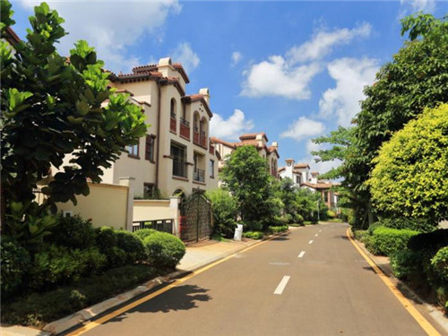 手机软件品牌加盟代理需要什么条件