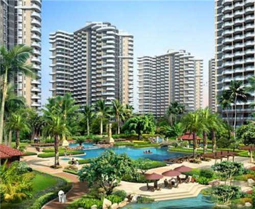 球队合影春节怎么拍（足球队合影怎么拍好看）