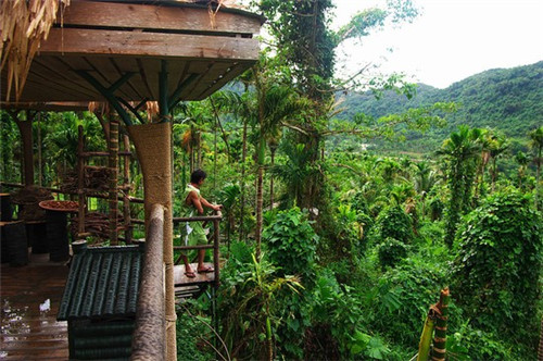 妹妹拿出新花招什么歌（妹妹花儿开就像你的爱是什么歌）